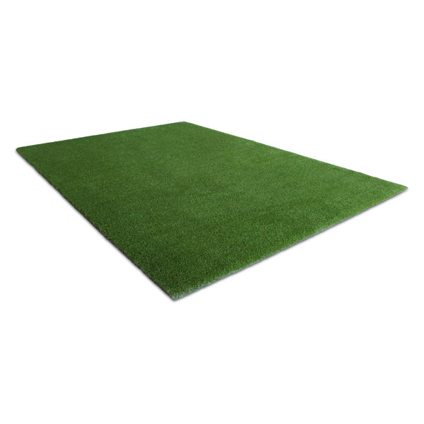 AGL Grass Gazon synthétique Wayfair Canada